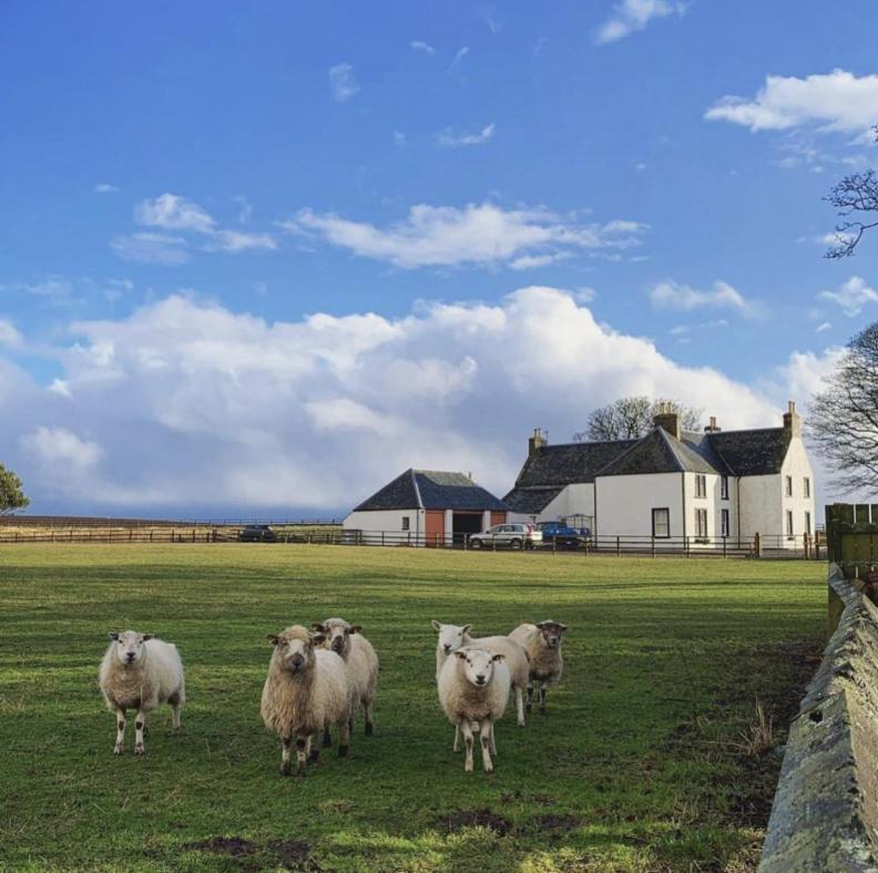 Tarrel Farmhouse Portmahomack Luaran gambar